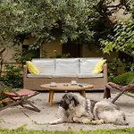 Auberge de jeunesse Archi Rossi