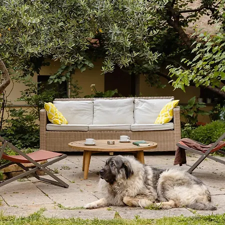 Hostel Archi Rossi