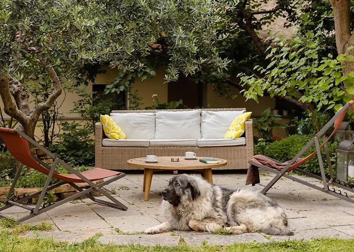 Auberge de jeunesse Archi Rossi